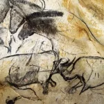 chauvet2