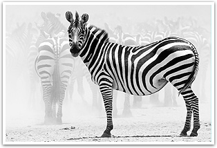 cosmopolitantours historico africa